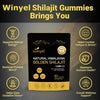 Winyel Shilajit Gold Gummies with 85 Trace Minerals for Energy and Immune Support