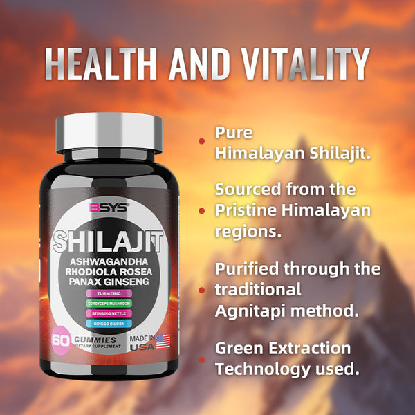 BSYS 8IN1 Shilajit Gummies for Enhanced Wellness and Vitality