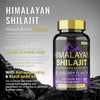 BSYS Shilajit Gummies - Elevate Your Wellness Routine