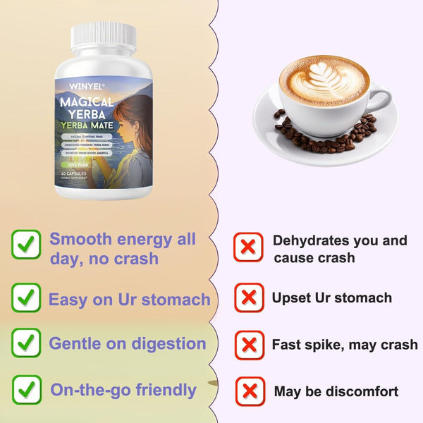 WINYEL Yerba Mate Energy Capsules: Natural Caffeine & Mental Clarity Support
