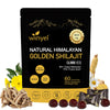 Winyel Shilajit Gold Gummies with 85 Trace Minerals for Energy and Immune Support
