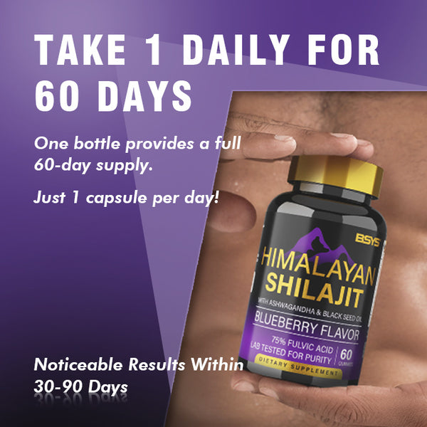 BSYS Shilajit Gummies - Elevate Your Wellness Routine