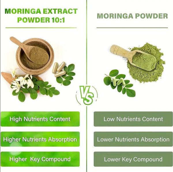Pura Moringa Leaf Capsules for Energy, Metabolism & Immune Support