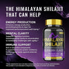 BSYS Shilajit Gummies - Elevate Your Wellness Routine