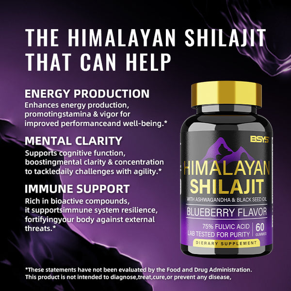 BSYS Shilajit Gummies - Elevate Your Wellness Routine
