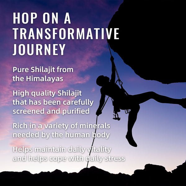 BSYS Shilajit Gummies - Elevate Your Wellness Routine