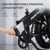 20-Inch Wide Folding Electric Mountain Bicycle with Fat Tires