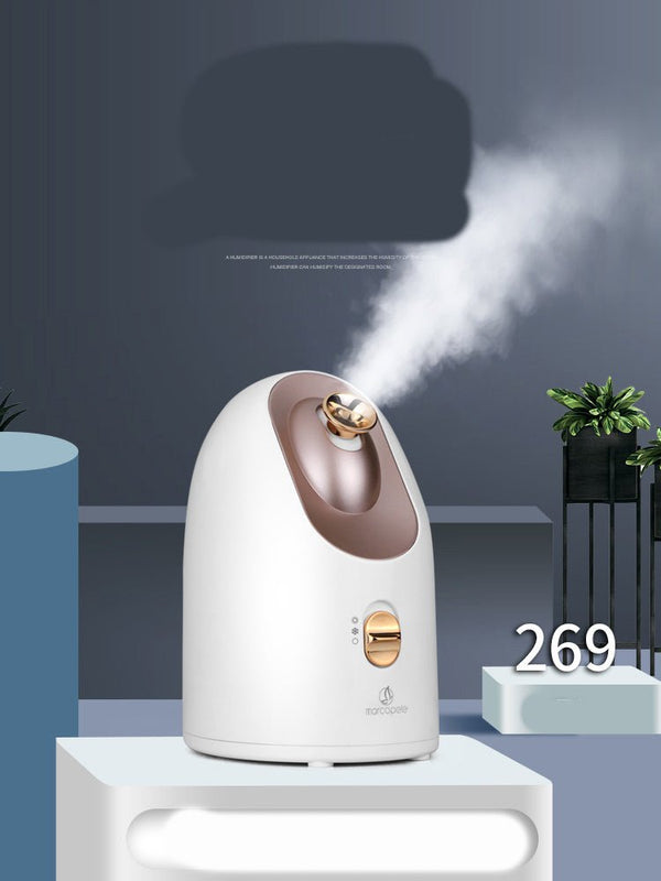 Hot and cold face steamer - BloomRadiant
