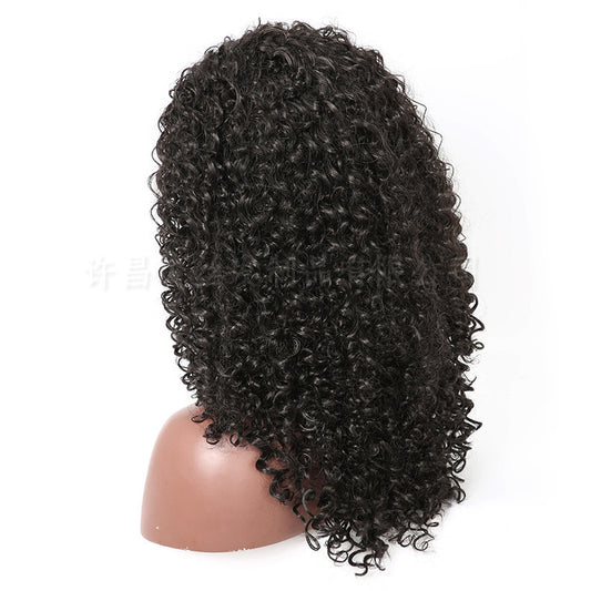 Enchanting Long Curly Hair Wig 💫